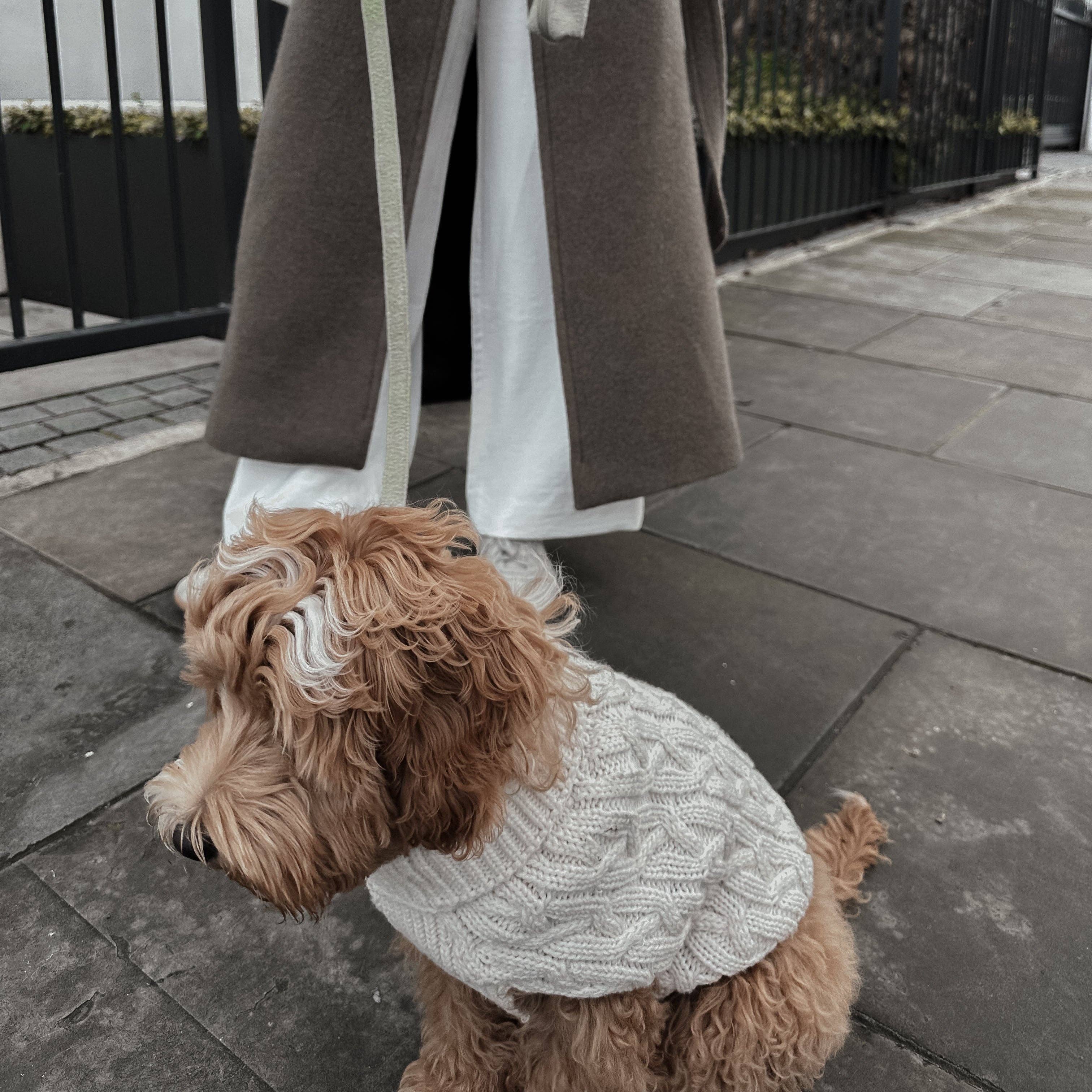 Dog wearing the By Teddy Matcha Bouclé Dog Lead during a stylish everyday walk