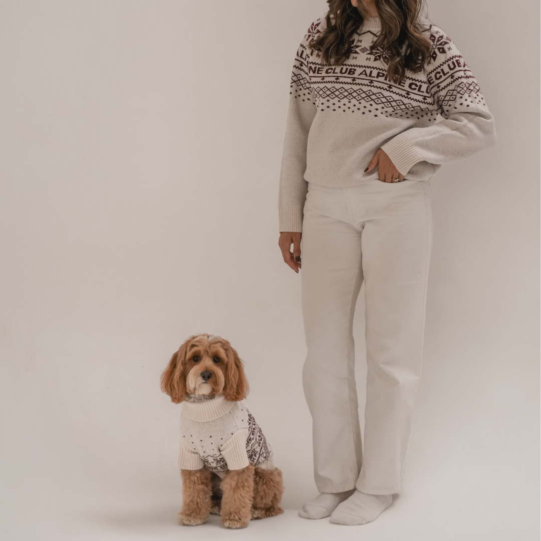 By Teddy Snowberry jumper designed to match the coordinating dog knit