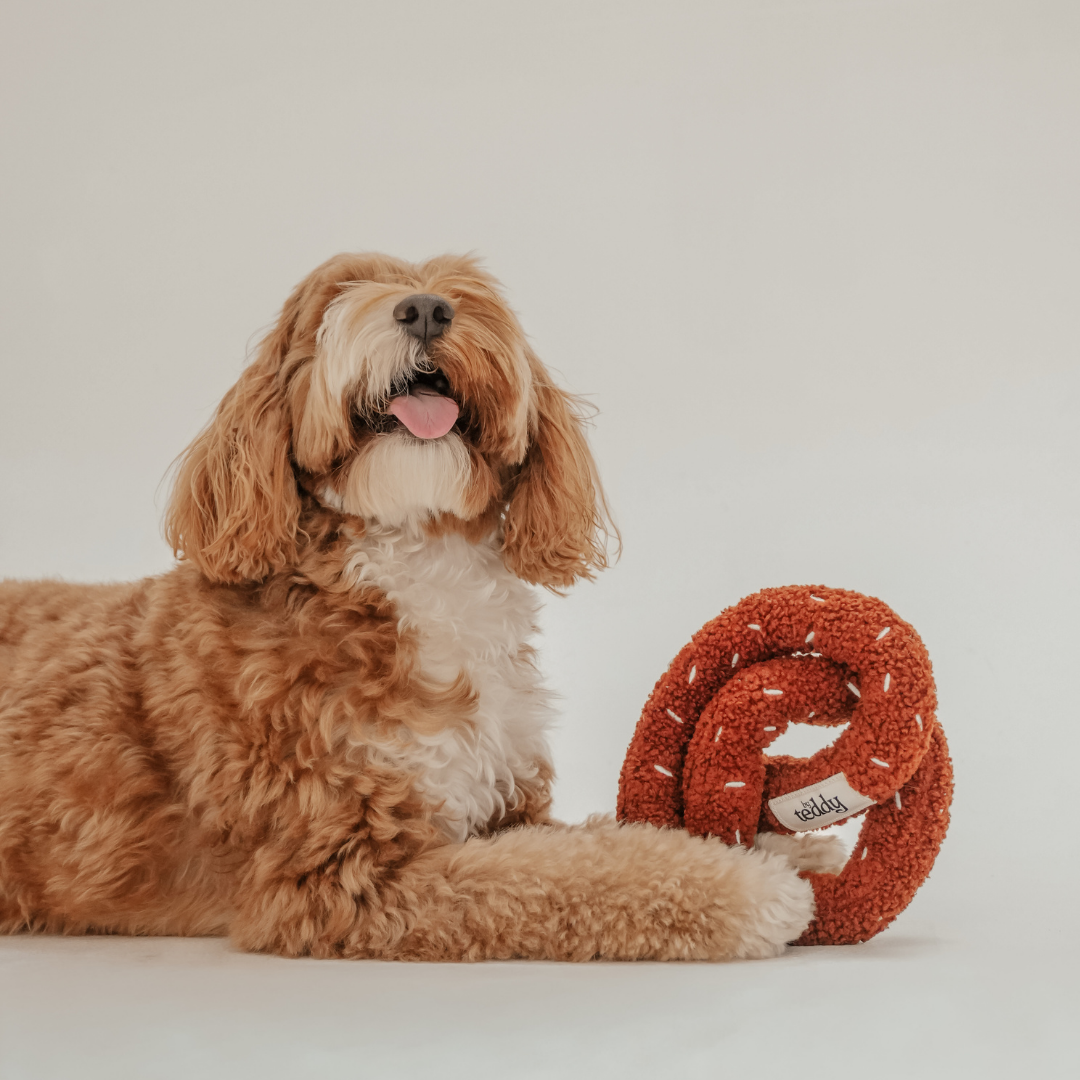 By Teddy bakery-inspired pretzel toy for dogs