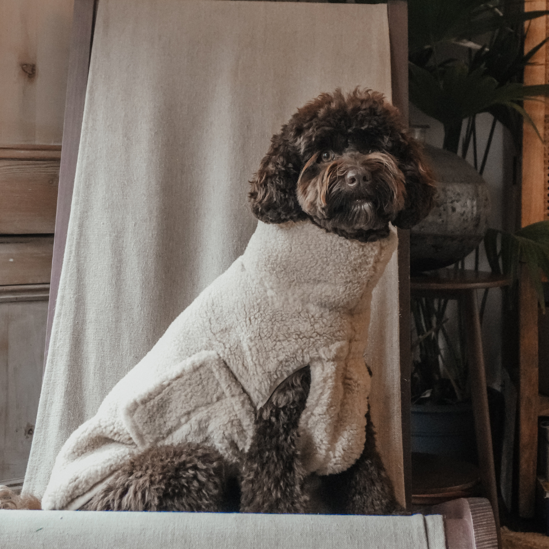 By Teddy soft sherpa dog coat for cooler weather