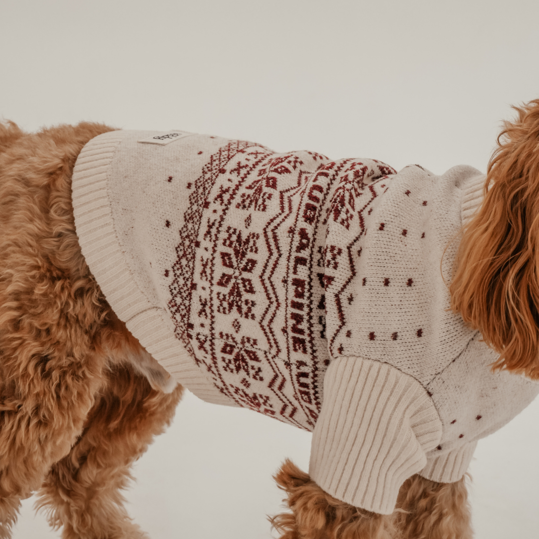 By Teddy soft Snowberry knitted jumper for dogs