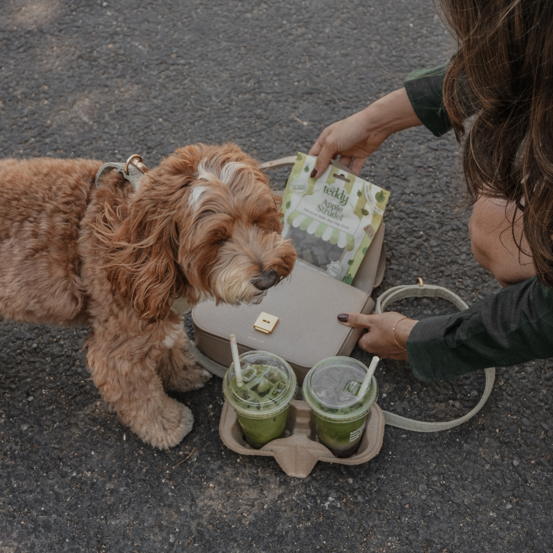 Teddy bear shaped soft dog treats in Apple Strudel flavour