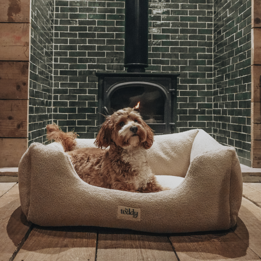 dog in bed front of a fire 