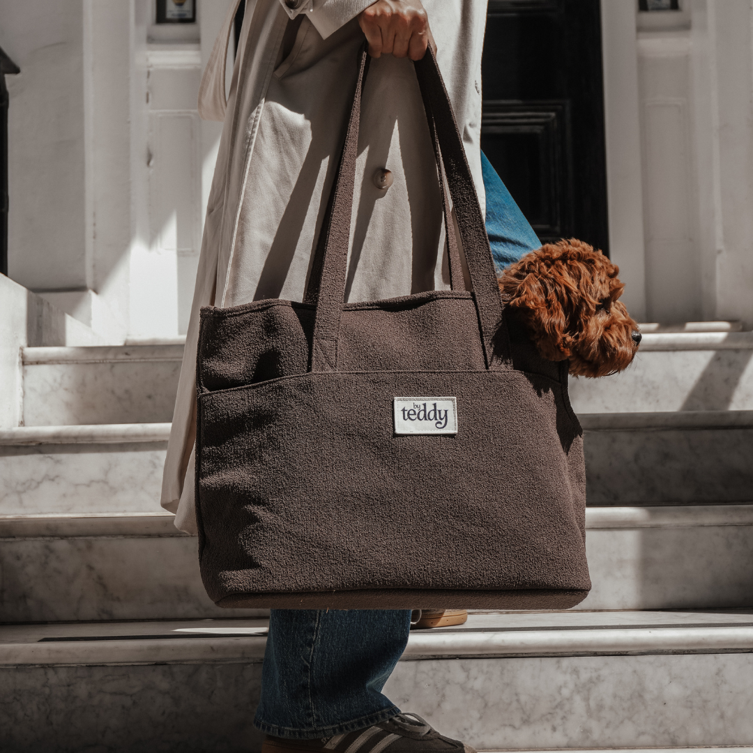 Person holding a brown tote bag with a dog on a staircase