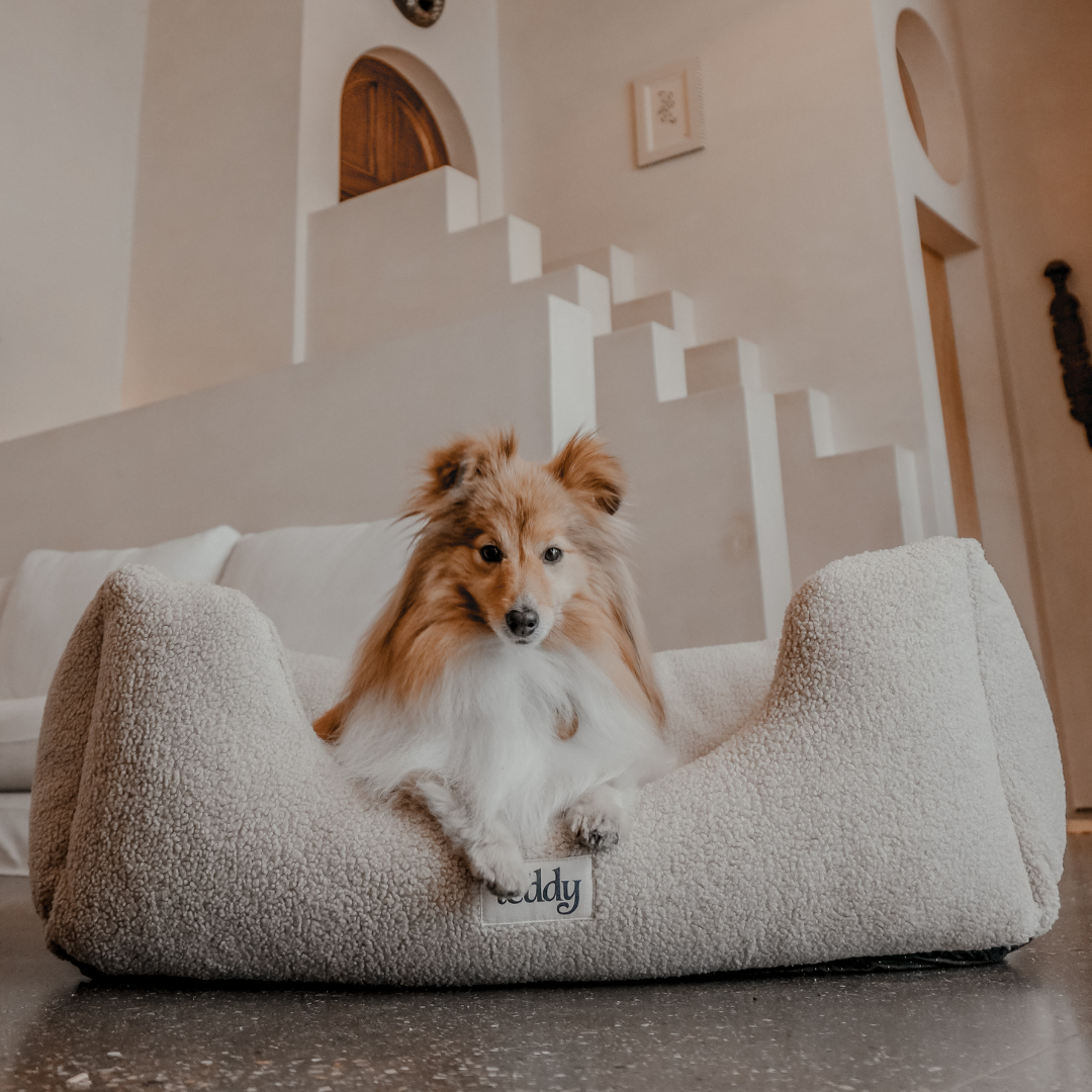 cute dog bed