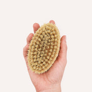 CAFIDE Teo short hair dog brush with FSC-certified beech wood handle and soft natural bristles.