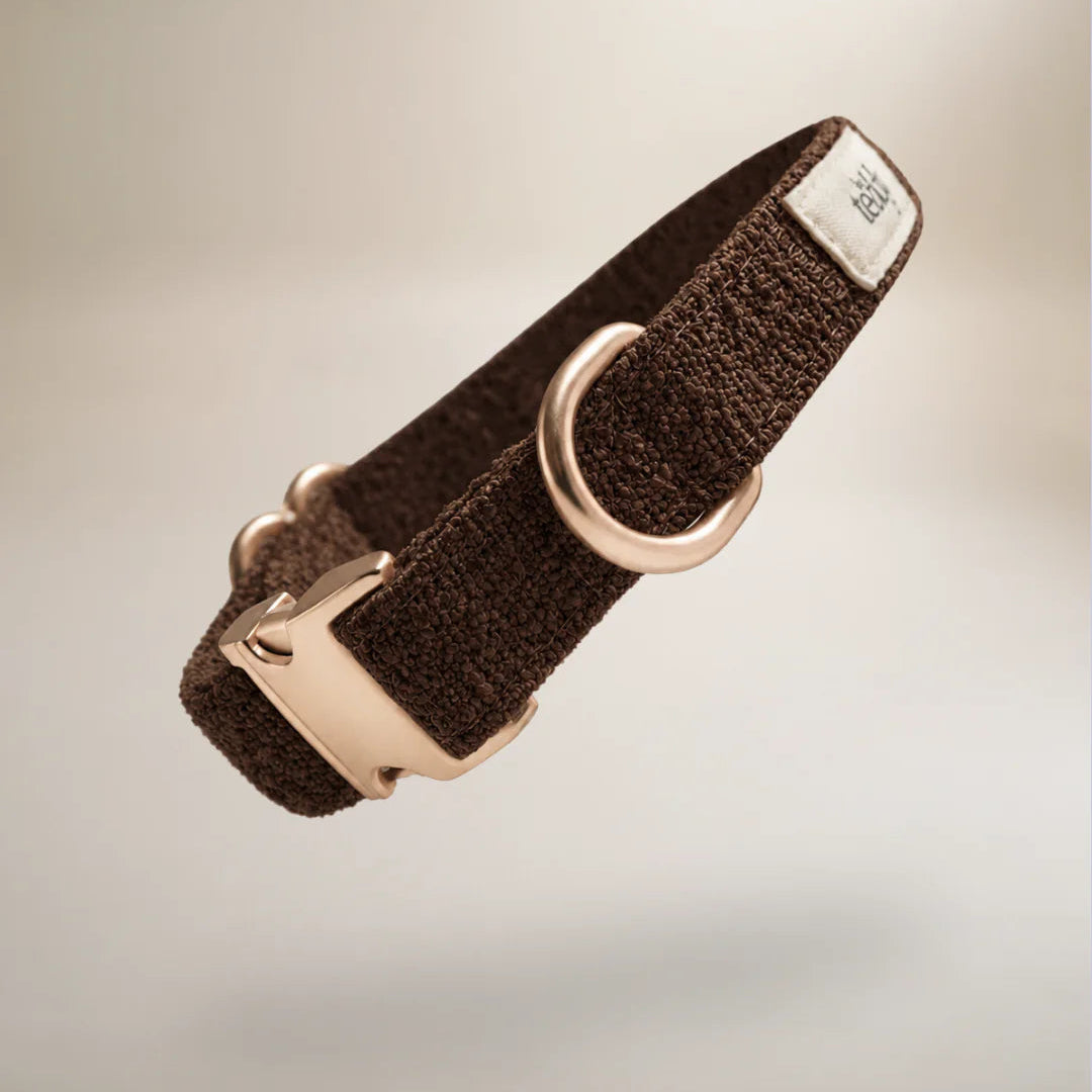 Brown dog collar with rose gold buckle on a light beige background