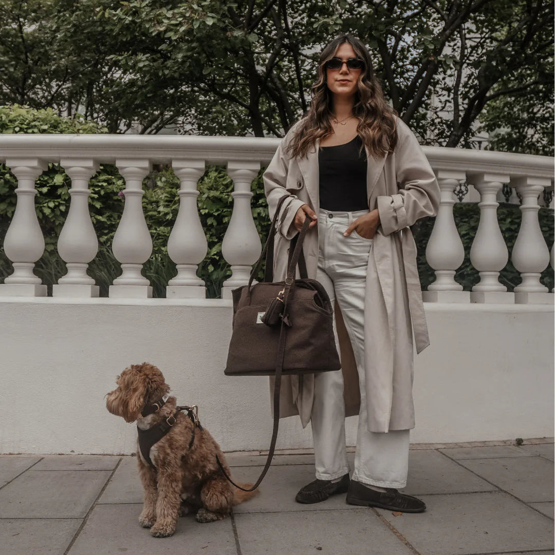 Woman walking a dog on a leash with a handbag, standing against a white railing with greenery.