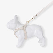 Dog harness on a mannequin with a white background