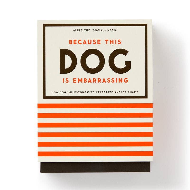 Book cover with text 'Because this dog is embarrassing' on a white background