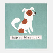 Caroline Gardner Spotty Dog On Teal Birthday Card featuring a brown and white dog illustration on a teal background from Bell & Beau.