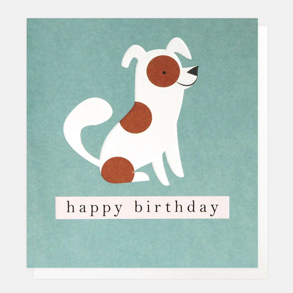 Caroline Gardner Spotty Dog On Teal Birthday Card featuring a brown and white dog illustration on a teal background from Bell & Beau.