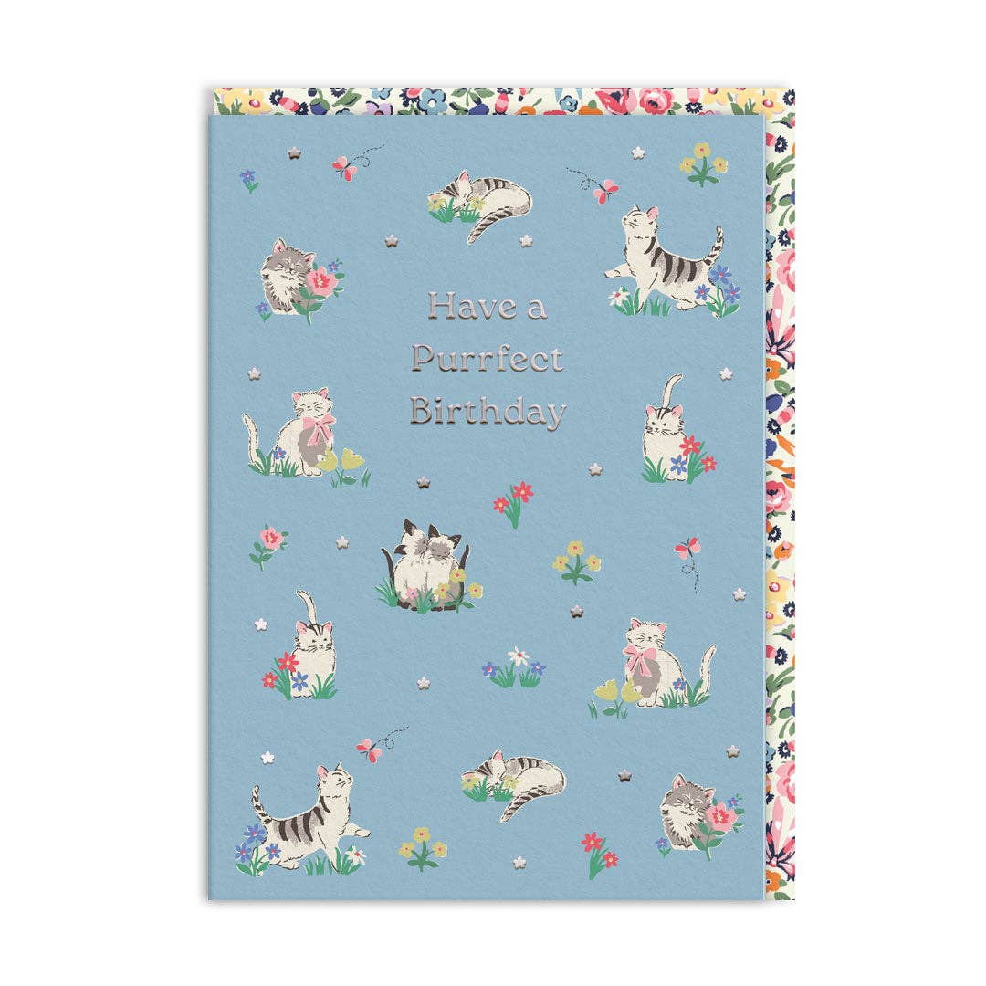 Cath Kidston Purrfect Kittens birthday card with colourful kitten illustrations.