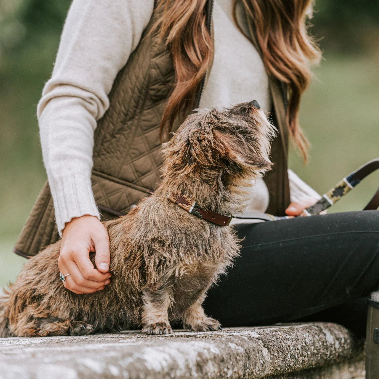 pampeano Caza dog collar crafted from premium vegetable-tanned brown leather