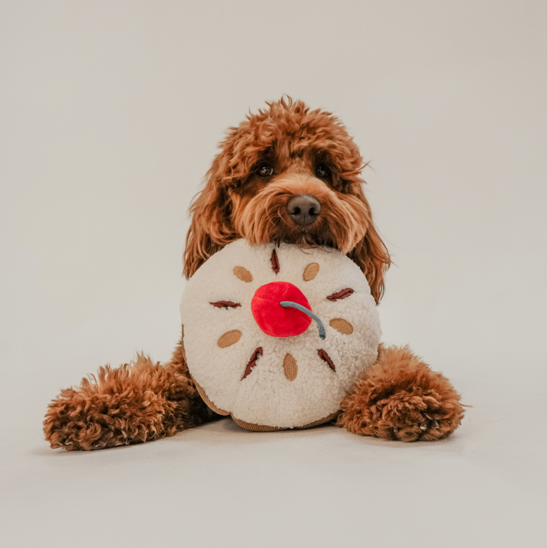 Cherry Bakewell Tart shaped dog toy by By Teddy