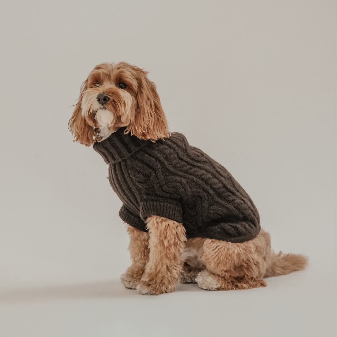 Chocolate brown cable knit dog jumper by By Teddy