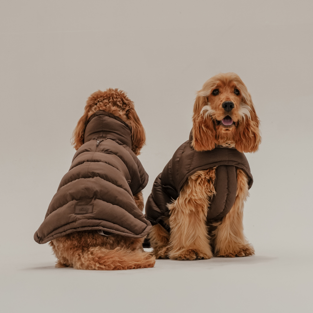 Chocolate brown waterproof puffer coat for dogs by By Teddy