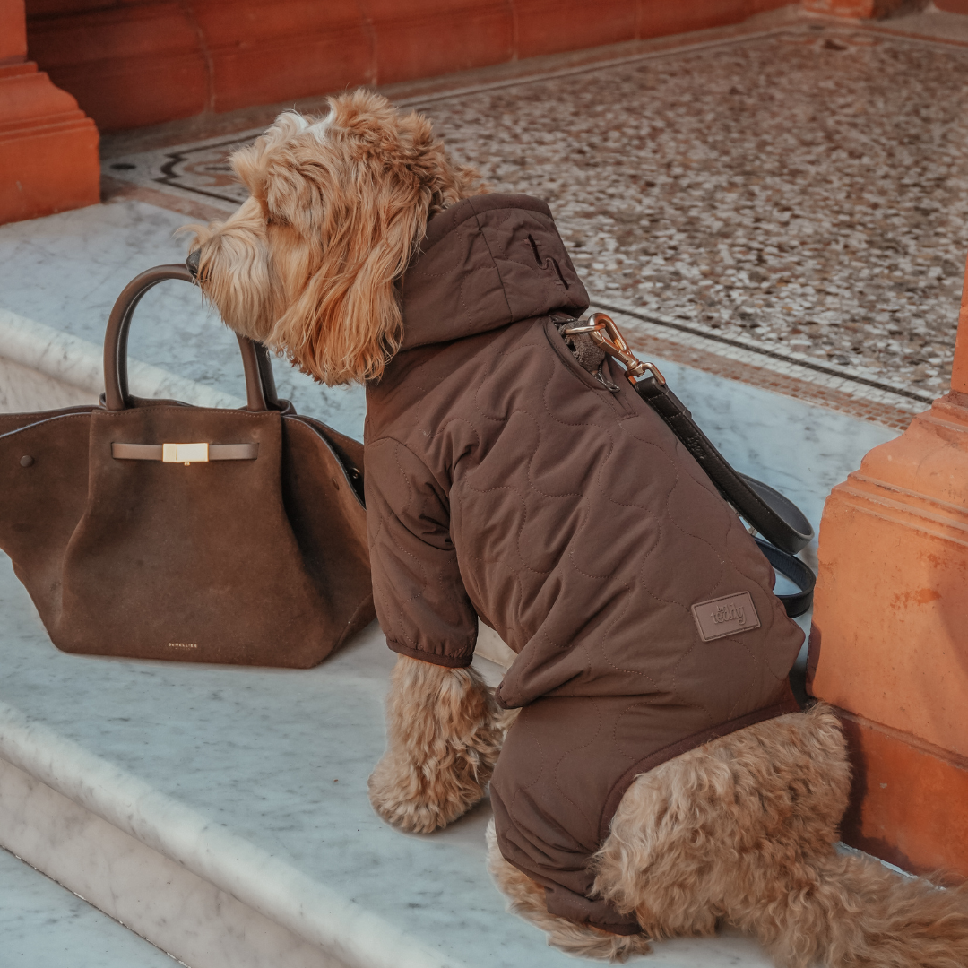 Chocolate brown waterproof quilted dog bodysuit by By Teddy
