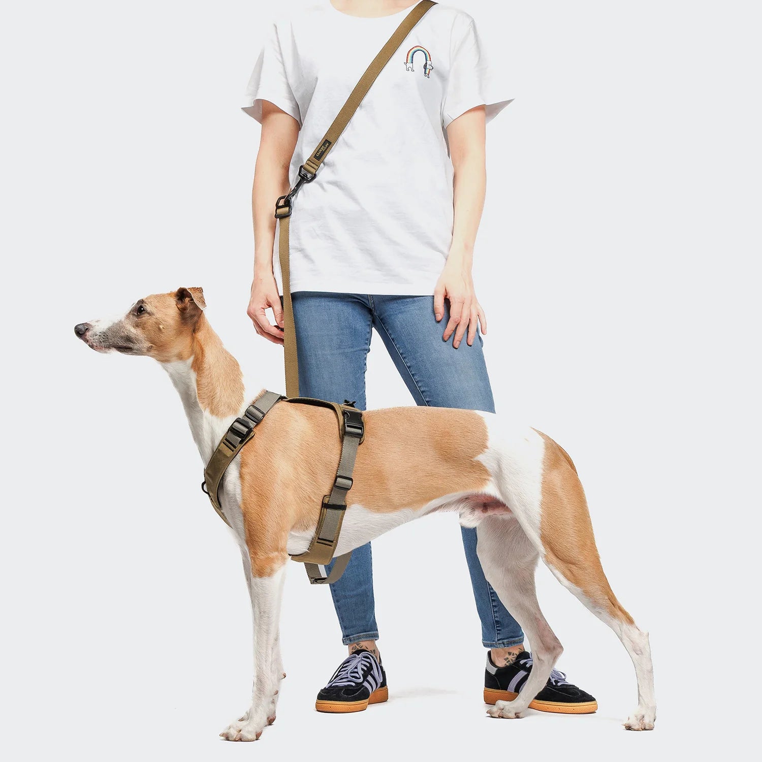 Premium recycled polyester dog lead featuring dual carabiners and tangle-free construction.