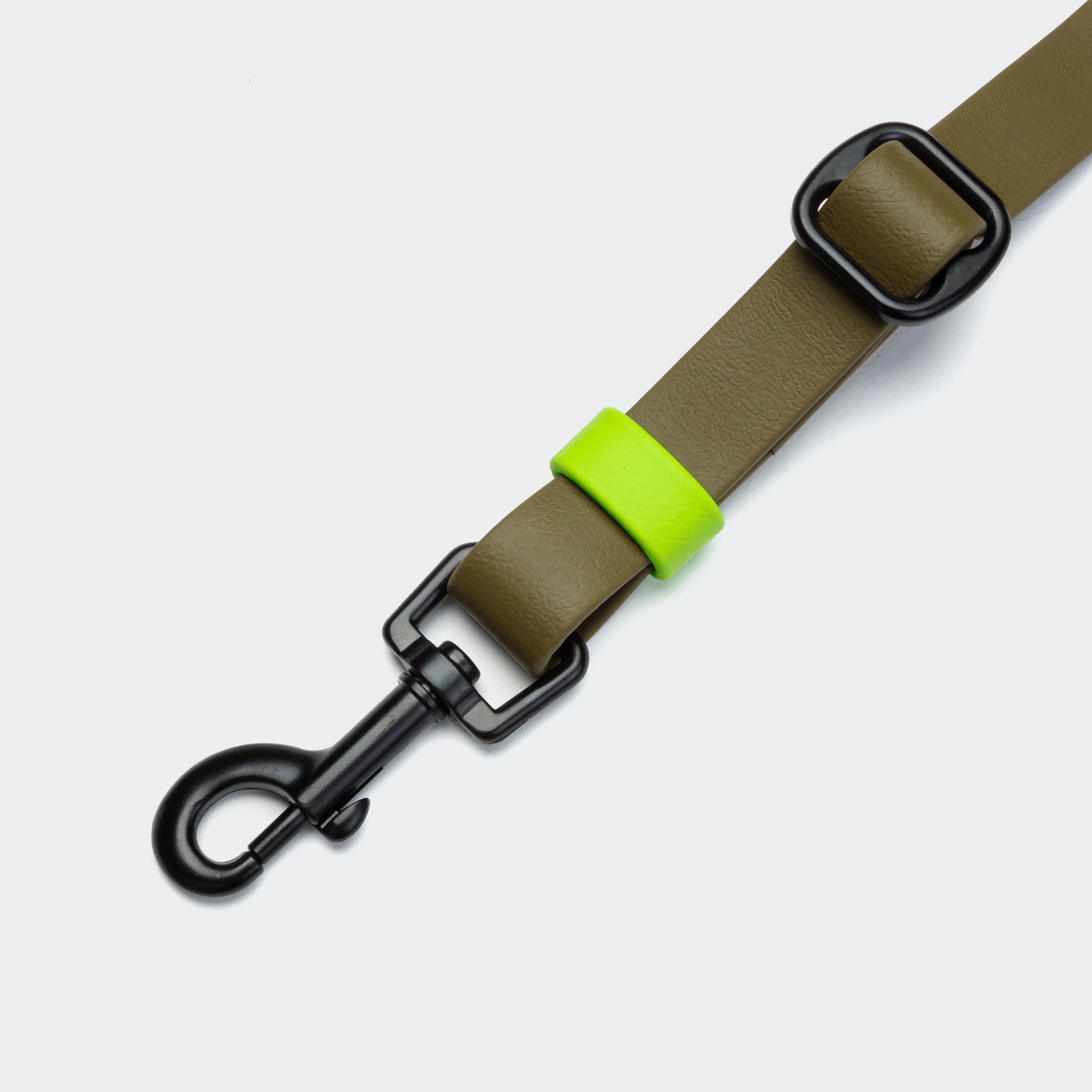 Dog leash with green accent and black clip on a light gray background