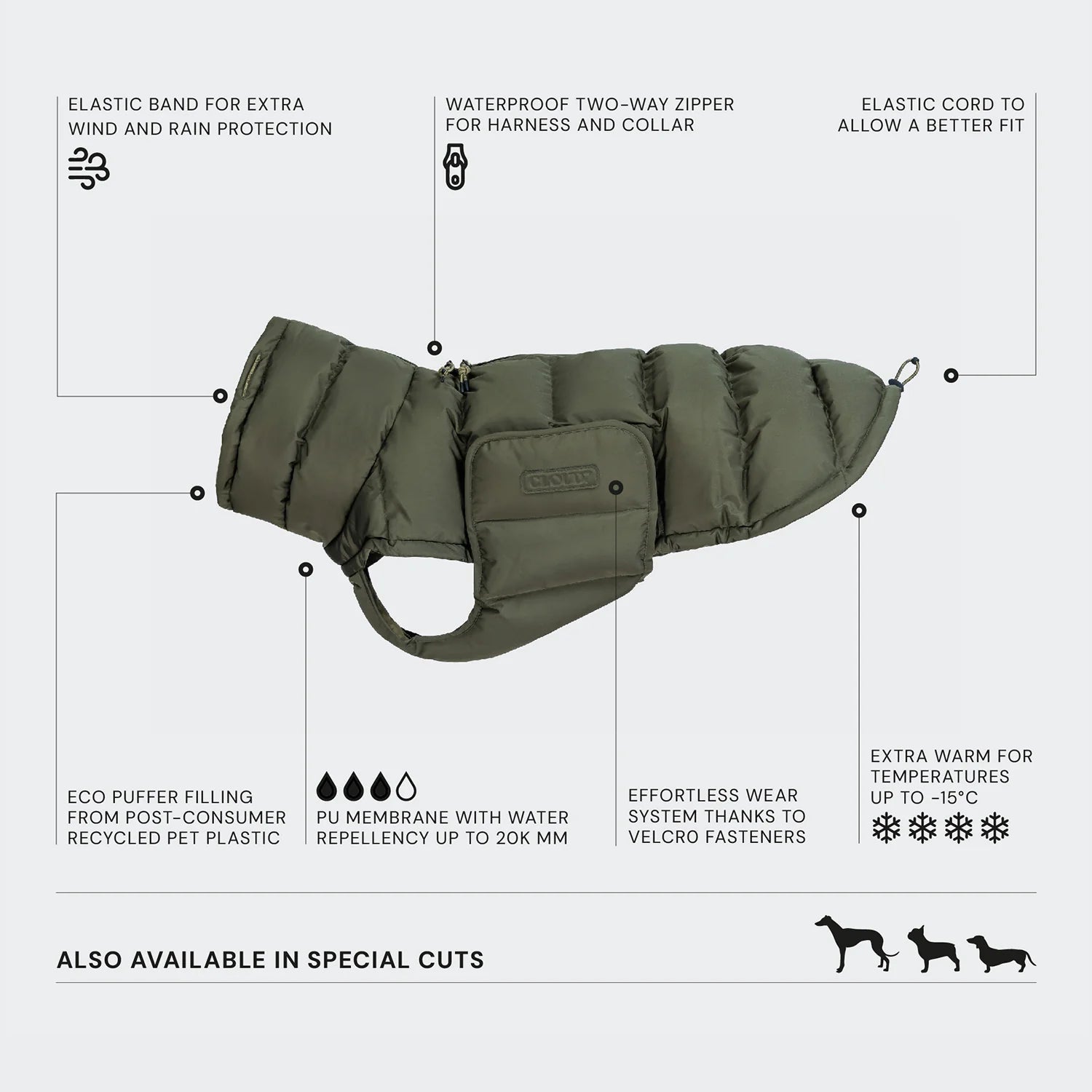 Green dog coat with features listed on a white background
