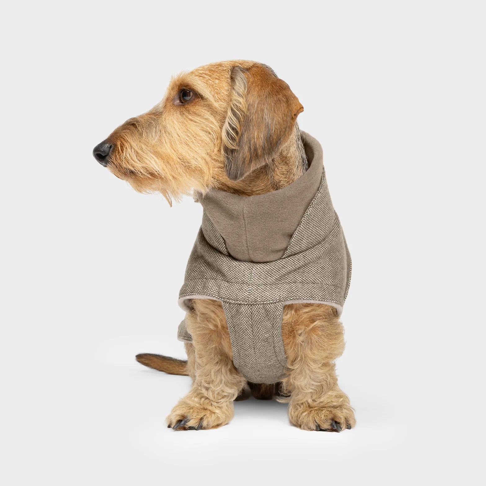 Premium wool blend Dachshund coat featuring fleece lining and belly protection.