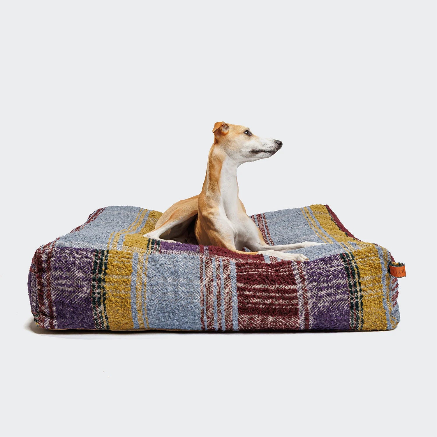 Dog sitting on a plaid dog bed with a white background