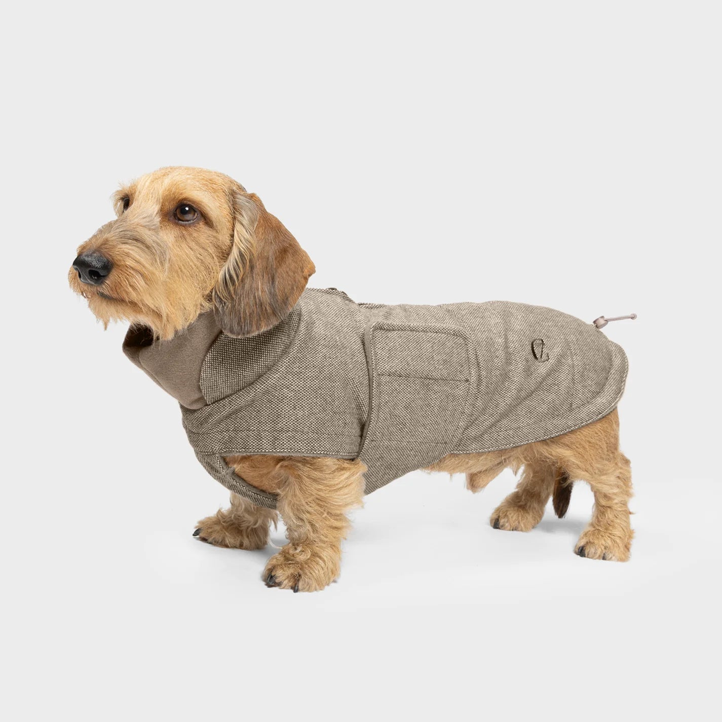 Cloud7 Dachshund Coat Brooklyn Tweed Beige with fleece lining and water-resistant tweed fabric from Bell & Beau.