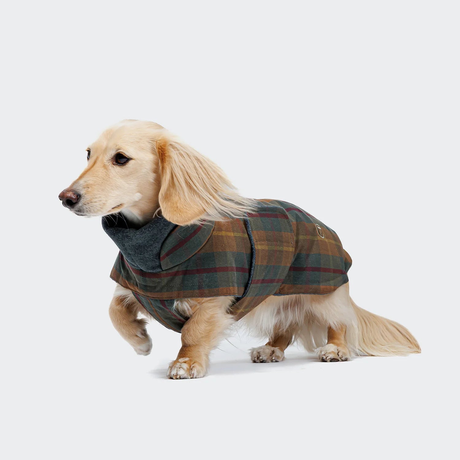 Cloud7 Dachshund Coat Brooklyn Waxed Tartan with fleece lining and water-resistant finish from Bell & Beau.