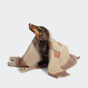 Cloud7 Dog Blanket Linen Stripes made from breathable Portuguese linen and available at Bell & Beau.