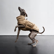 Dog wearing a beige puffer coat on a plain background