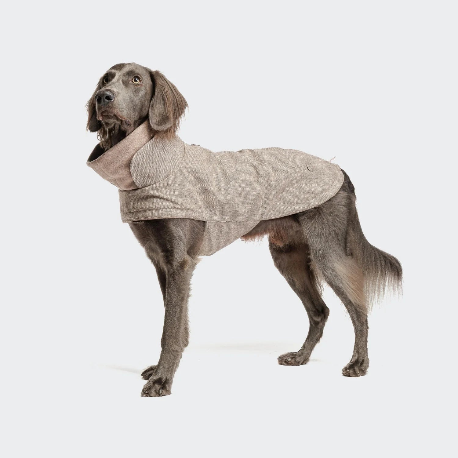 Cloud7 Dog Coat Brooklyn Tweed Beige with soft fleece lining and adjustable fit from Bell & Beau.