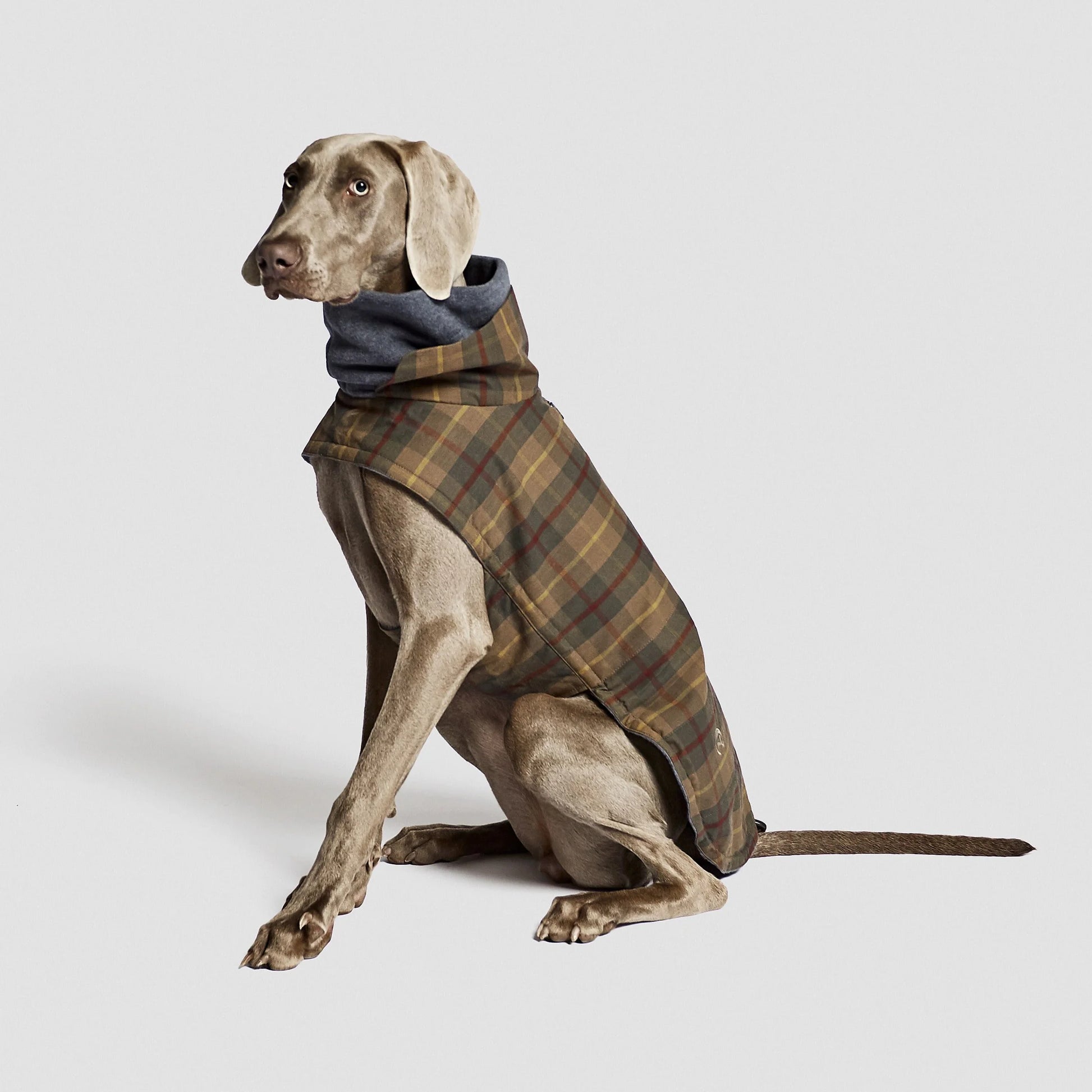Cloud7 Dog Coat Brooklyn Waxed Tartan with fleece lining and water-resistant finish from Bell & Beau.