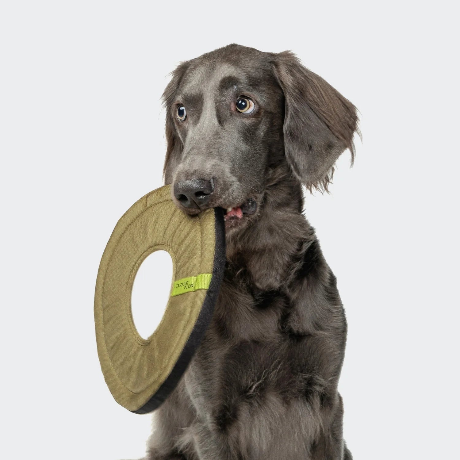Cloud7 Dog Toy Frisbee AKTIV Khaki floating fetch toy made from durable Cordura fabric available at Bell & Beau.