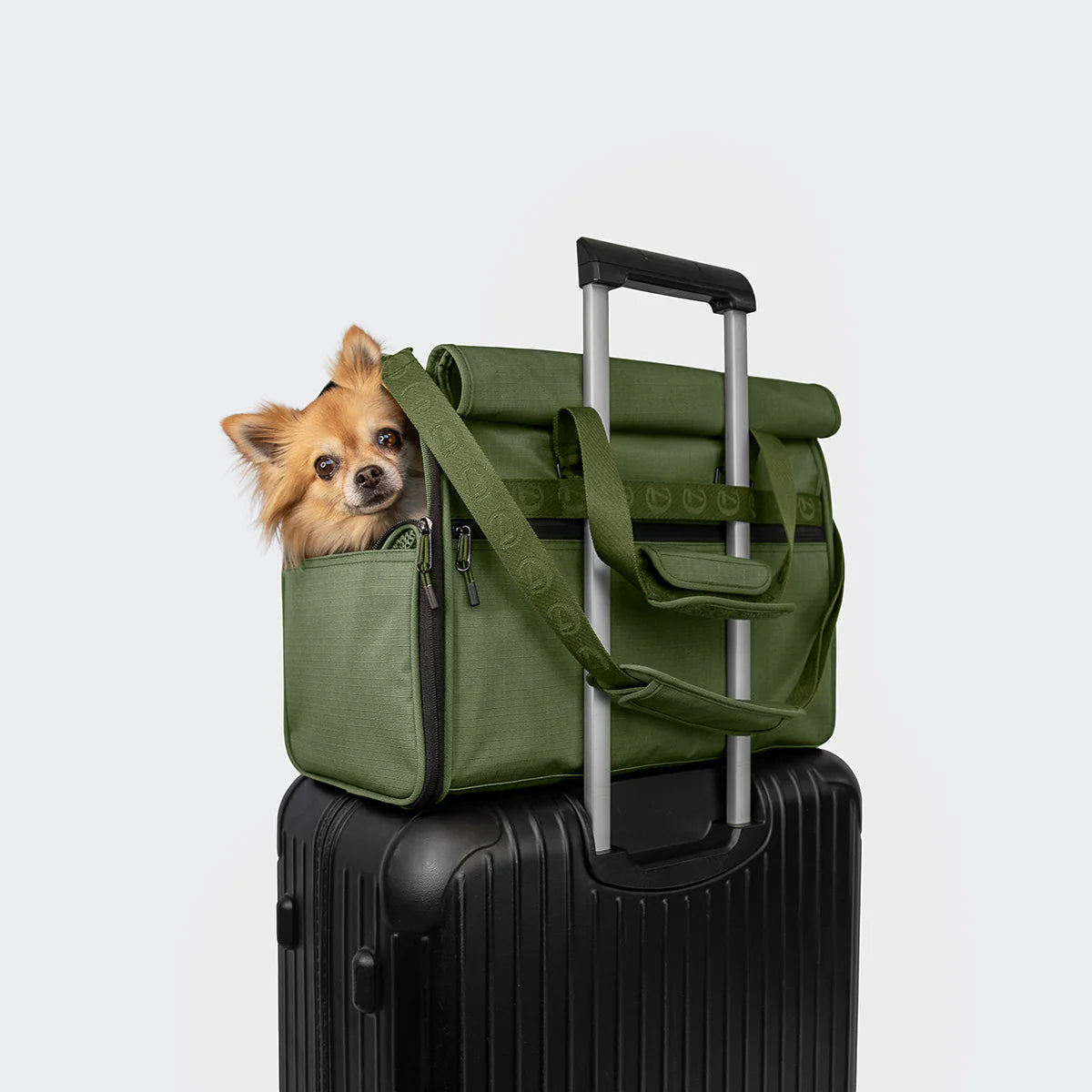 Cloud7 Flight Carrier AKTIV Olive airline-approved dog carrier with mesh ventilation and teddy fleece cushion from Bell & Beau.