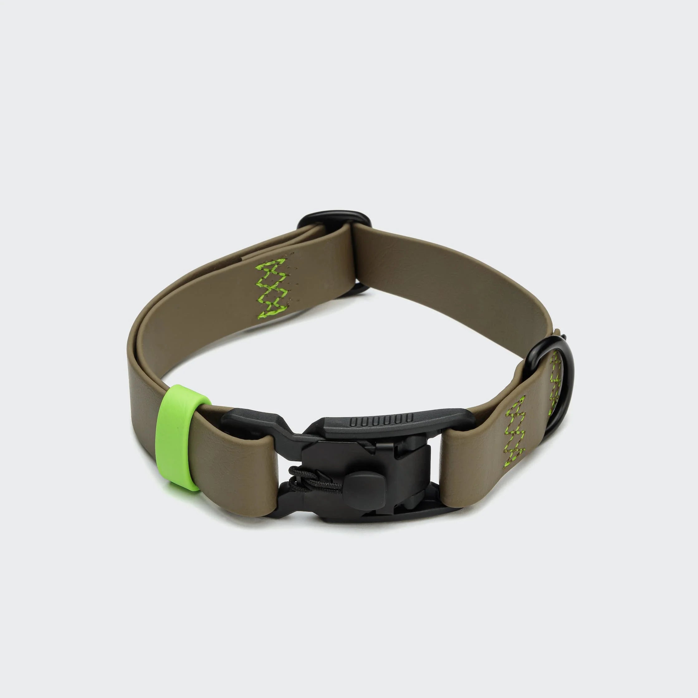 Dog collar with green accents on a light gray background