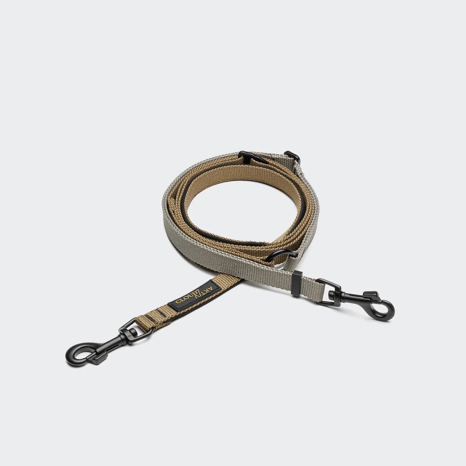 Dog leash with clip on a light gray background