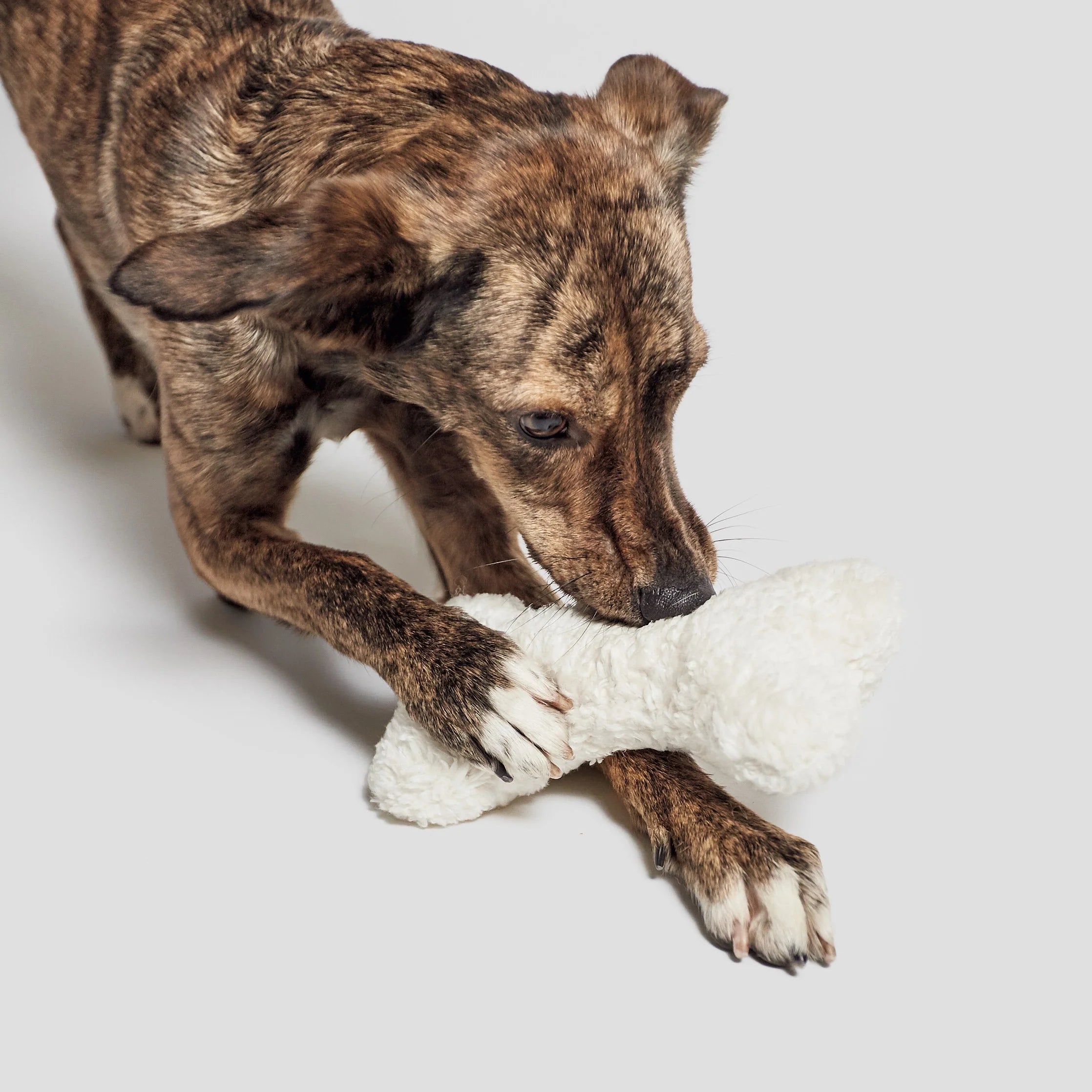 Minimalist dog toy with soft filling designed for comfort and indoor play.