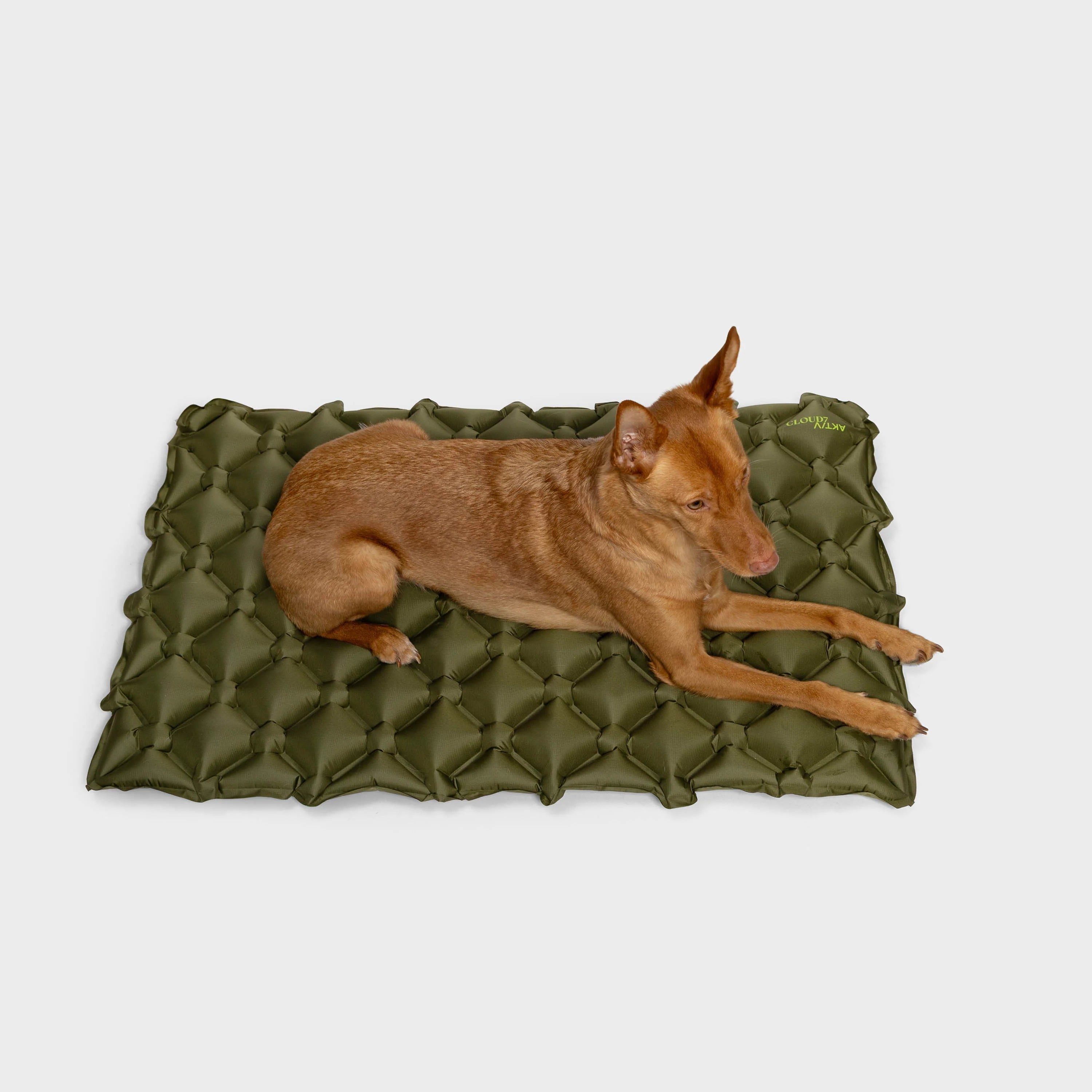 Cloud7 Travel Air Mat Detail