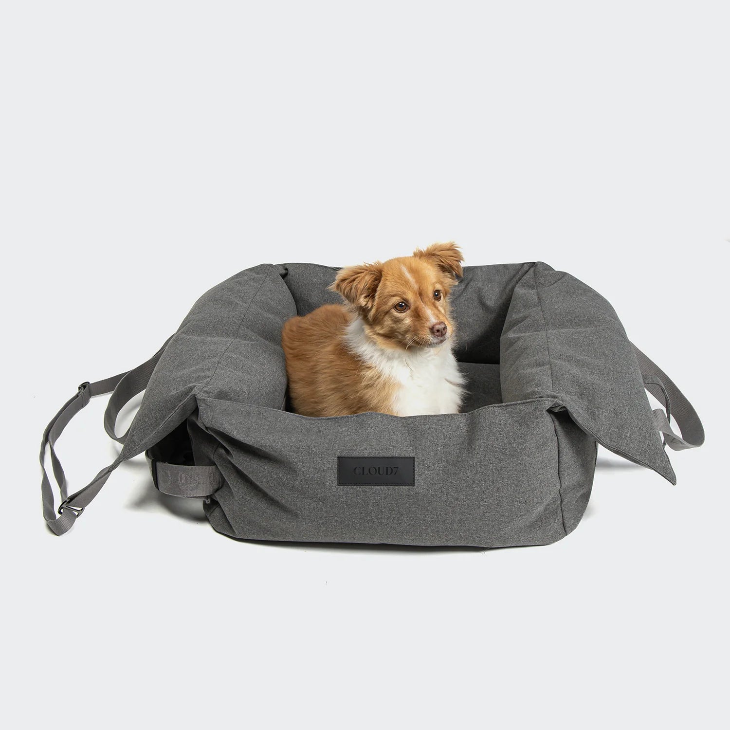 Dog sitting in a gray pet carrier on a white background