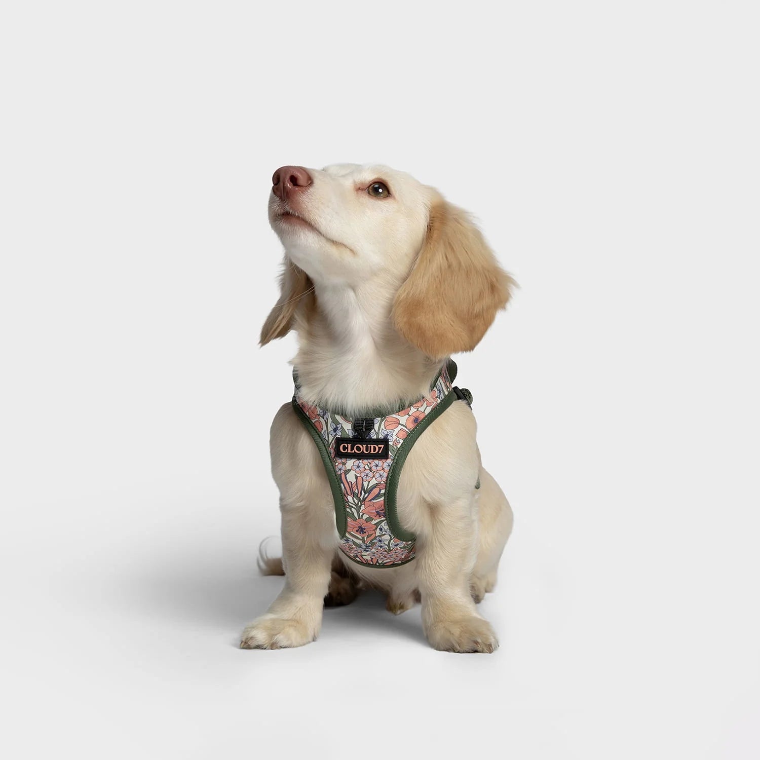 Cloud7 Step-In Harness LTTL Blossoms for puppies and small dogs with breathable mesh lining from Bell & Beau.