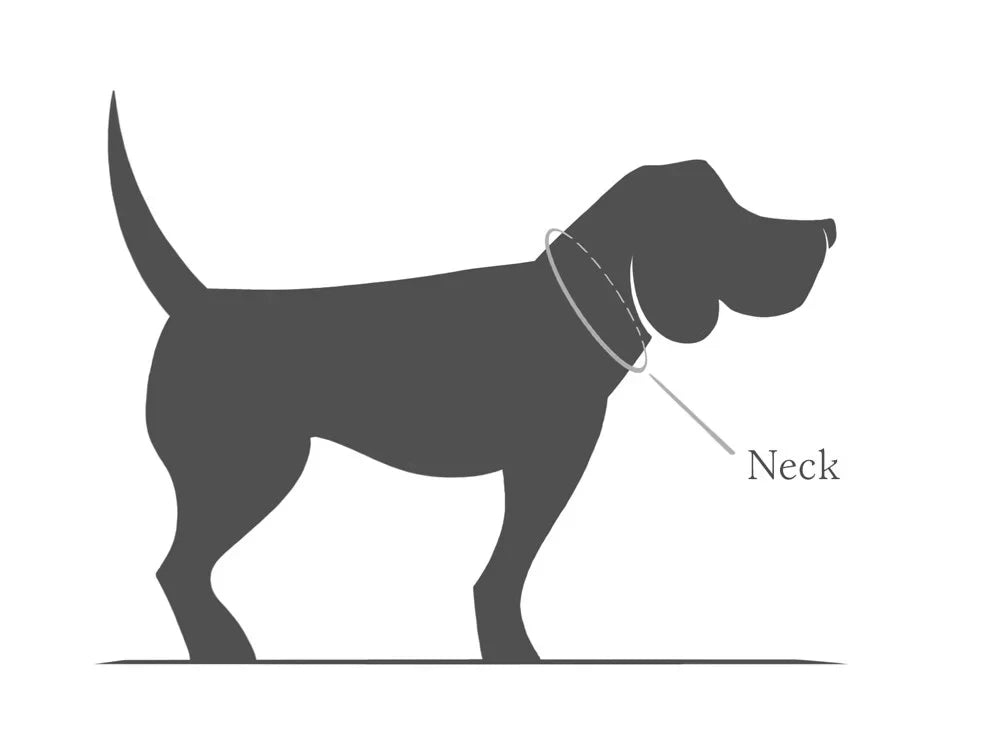 Close-up of handcrafted nubuck leather dog collar showcasing premium craftsmanship and quality fittings.