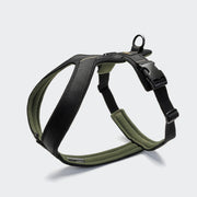 Cloud7 Y-1 Harness AKTIV Air-Mesh Black lightweight breathable dog harness available at Bell & Beau.