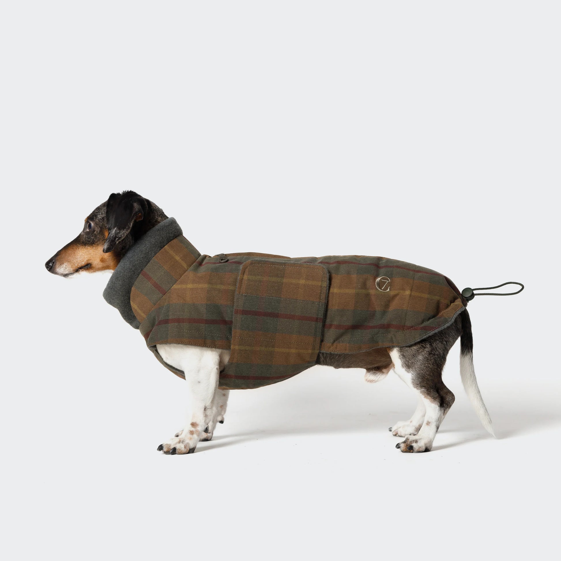 Dog wearing a plaid coat on a white background