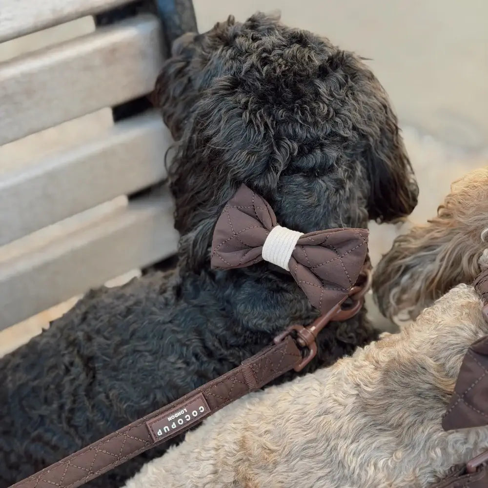 Chocolate brown quilted dog bow tie by Cocopup London