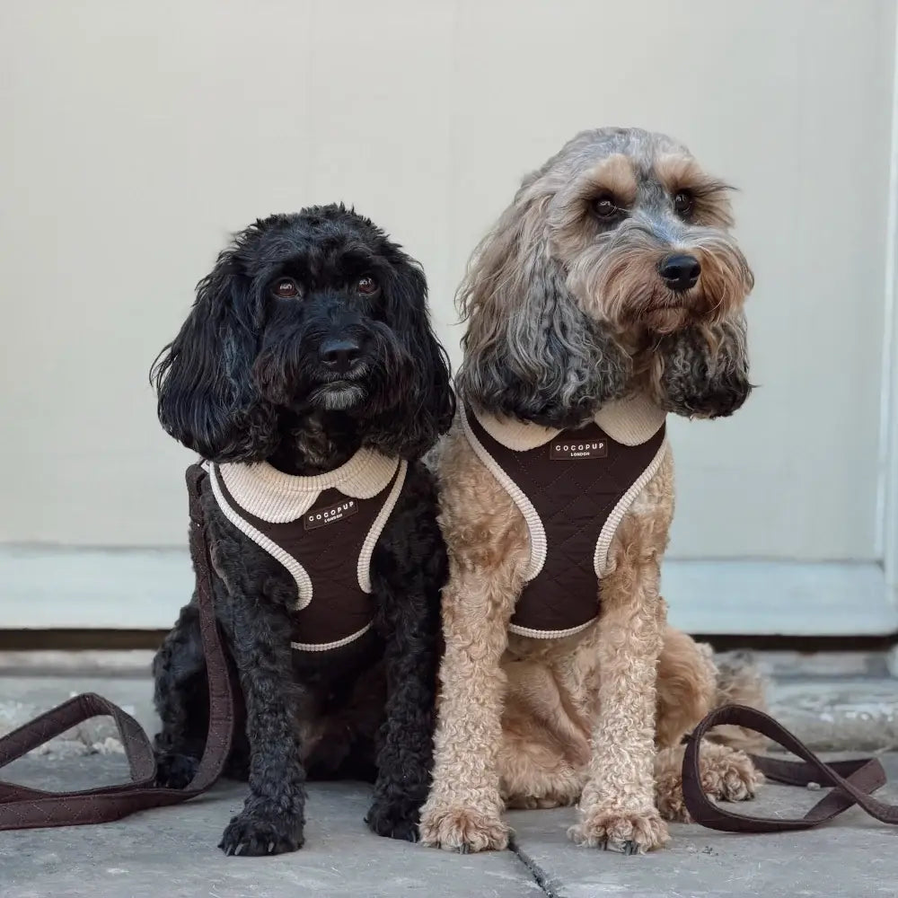 Chocolate brown quilted dog harness by Cocopup London
