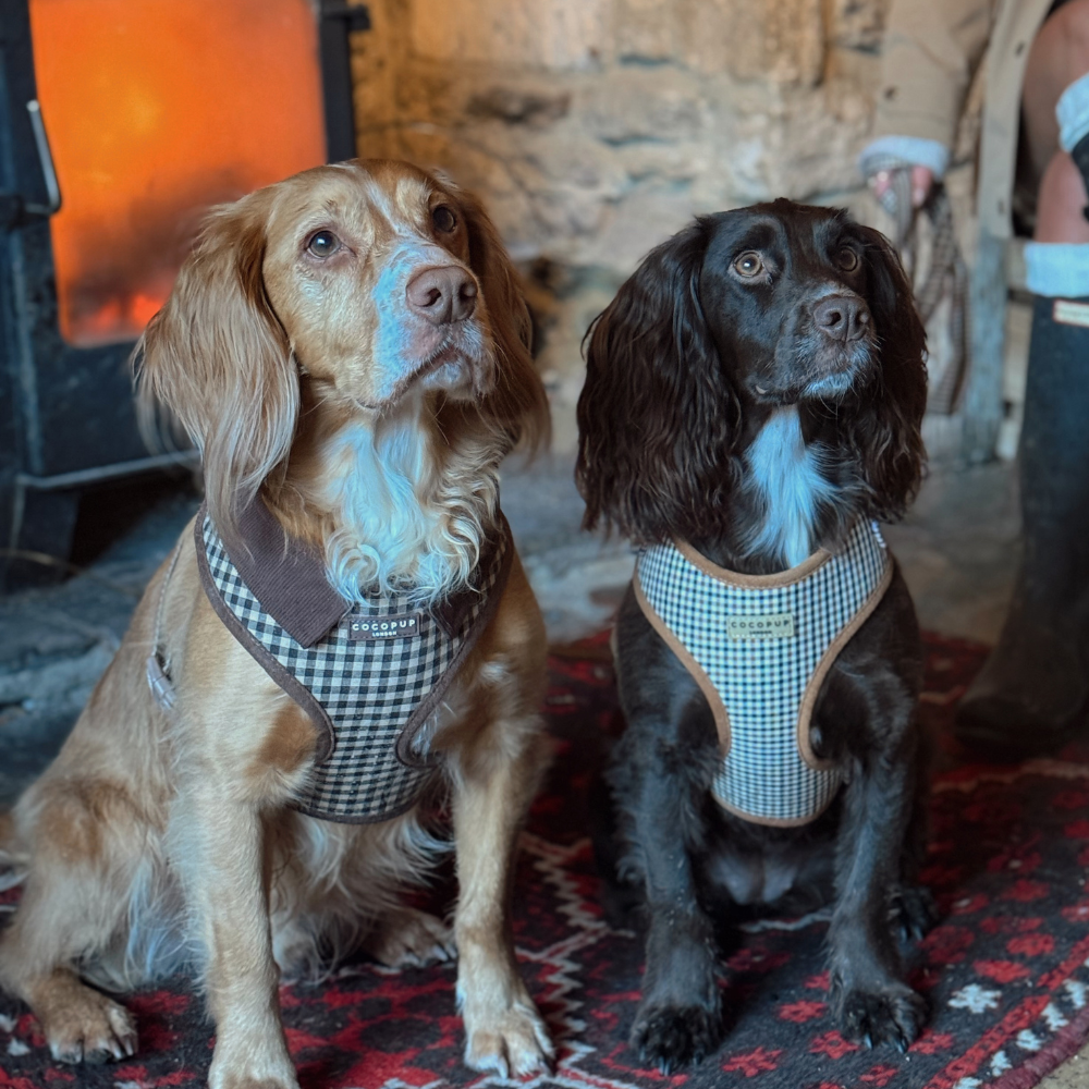 Cocopup London designer dog harness in classic Cotswold brown check.