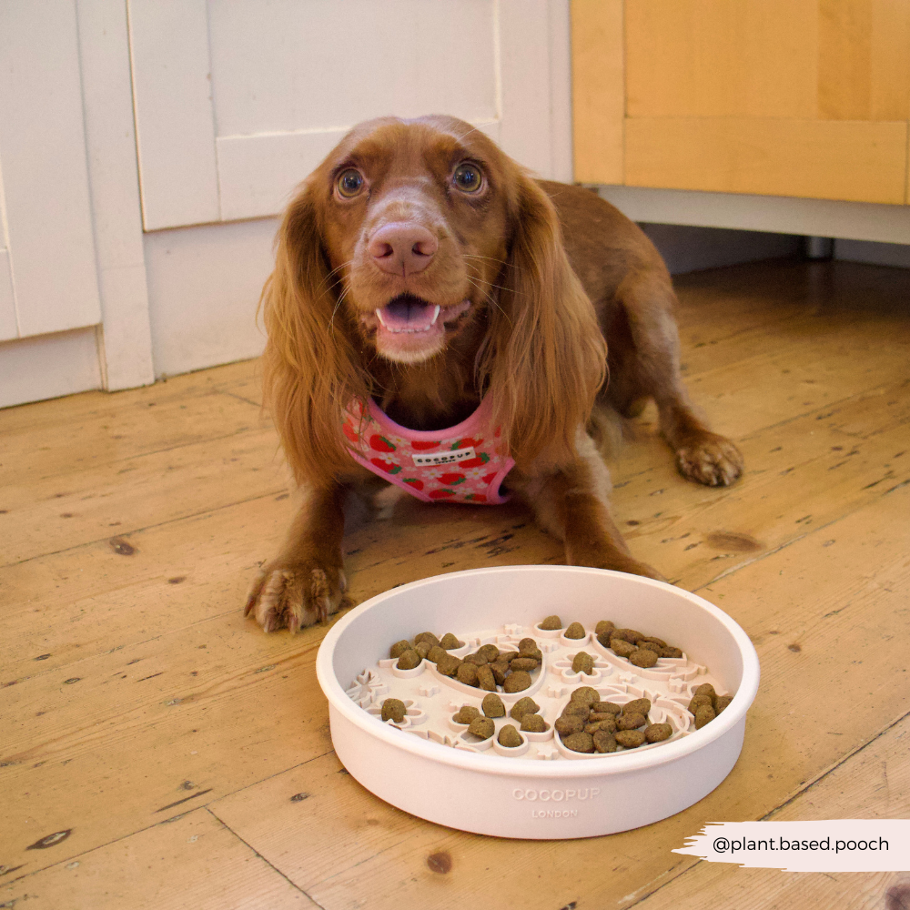 Cocopup Pupberry Fields enrichment feeding bowl designed to encourage slower eating.