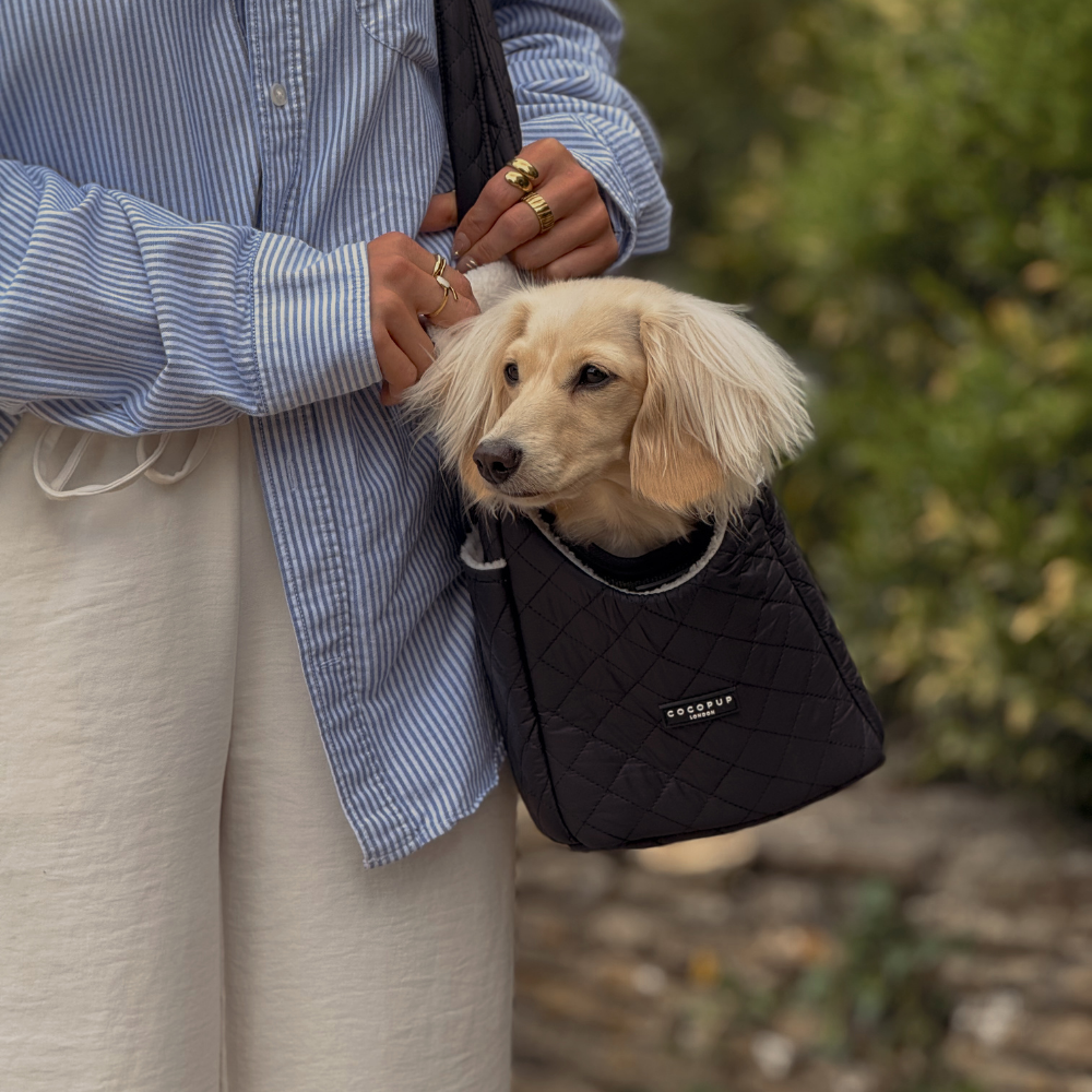 Stylish black quilted carrier designed for small dogs and puppies