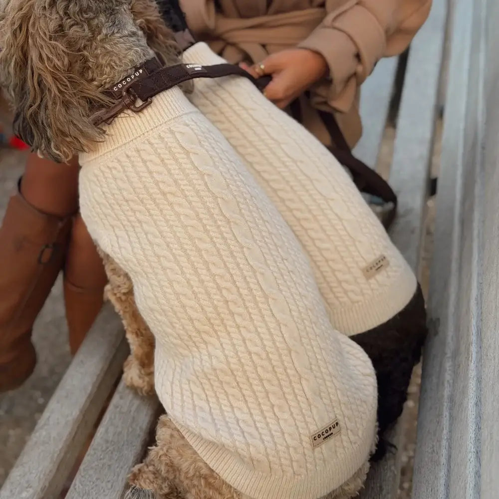 White Mocha knitted dog jumper by Cocopup London